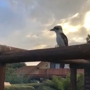 Meet your Posher, Bridget